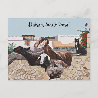 Cartão Postal Saudações de Goat III
