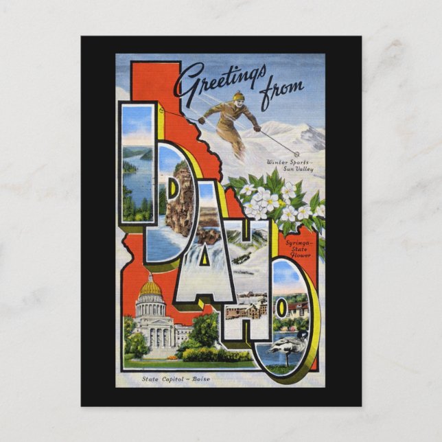 Cartão Postal Saudações de Idaho (Frente)