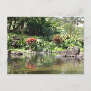 Cartão Postal Saudações De Kauai