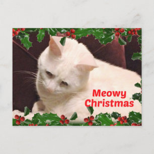 Cartão Postal Saudações de Natal de Gato
