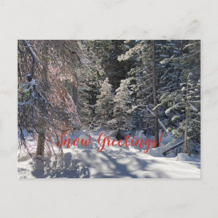 Cartão Postal Saudações de Neve da Cidade de Tahoe!