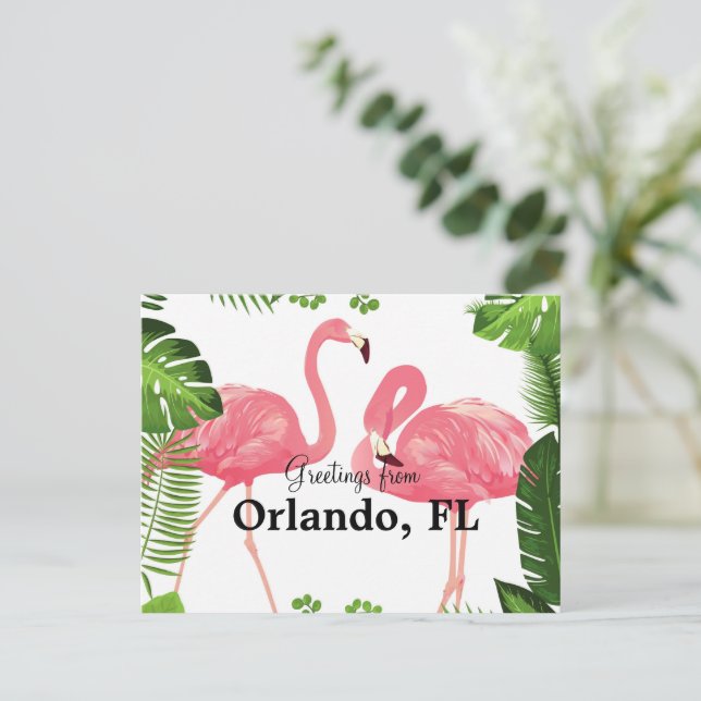 Cartão Postal Saudações de Orlando, FL—flamingos cor-de-rosa (Em pé/Frente)