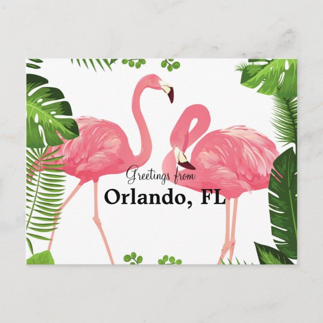 Cartão Postal Saudações de Orlando, FL—flamingos cor-de-rosa (Frente)