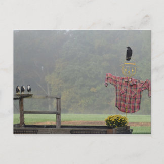 Cartão Postal Saudações de outono! Do Espantalho!