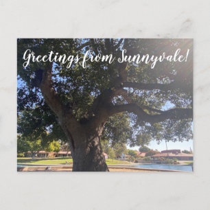 Cartão Postal Saudações de Sunnyvale!