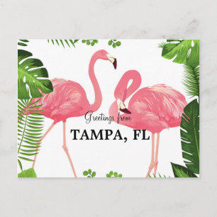 Cartão Postal Saudações de Tampa, Flórida