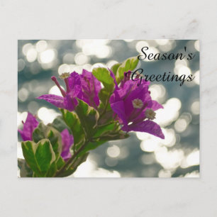 Cartão Postal Saudações de Temporada Flores de Primavera Bokeh