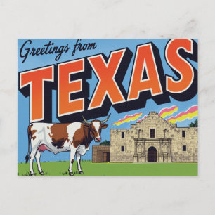 Cartão Postal Saudações de Vaca Longhorn do Texas Alamo