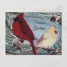 Cartão Postal Saudações do Cardeal Birds Season
