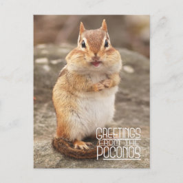 Cartão Postal Saudações do Cartão-Postal do Chipmunk Poconos