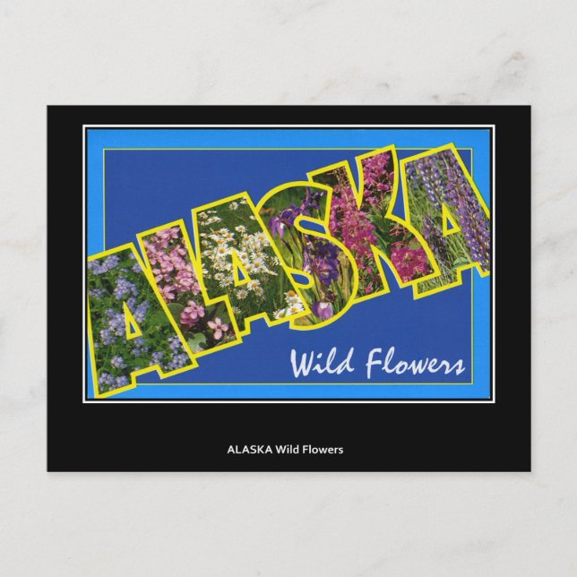 Cartão Postal Saudações do Cartaz Vintage do Alasca (Frente)