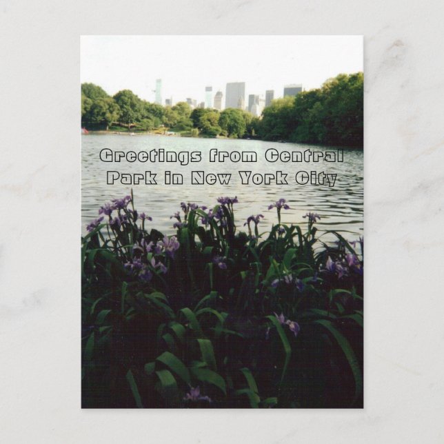 Cartão Postal Saudações do Central Park em Nova Iorque (Frente)