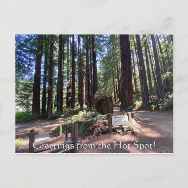 Cartão Postal Saudações do Hot Spot! (Frente)