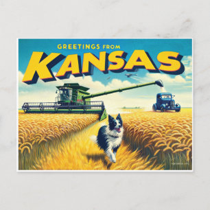 Cartão Postal Saudações Do Kansas Wheat Combine Border Collie