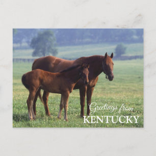 Cartão Postal saudações do Kentucky