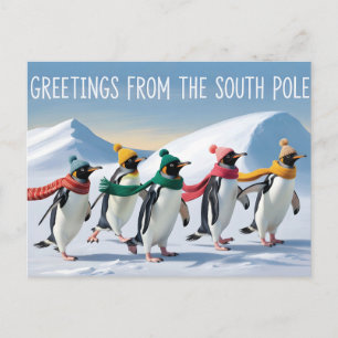Cartão Postal "Saudações do Polo Sul" Design de Pinguim