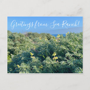 Cartão Postal Saudações do Sea Ranch!