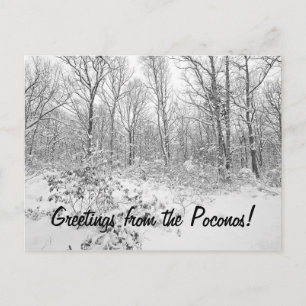Cartão Postal Saudações do Snowy Poconos