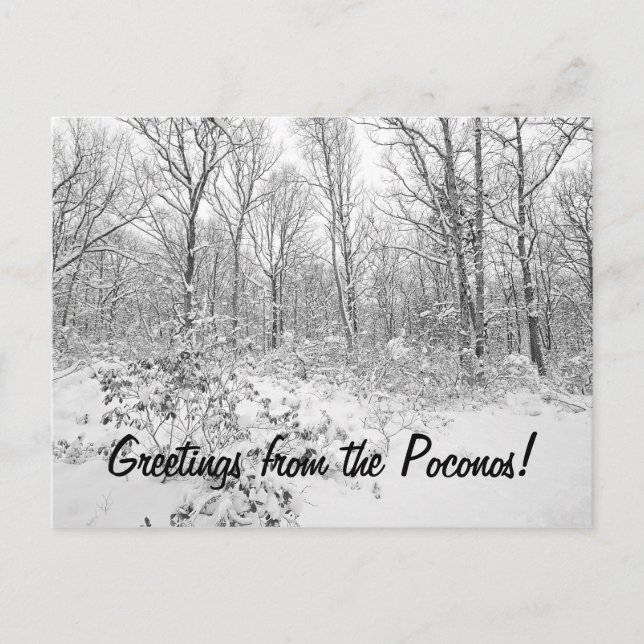 Cartão Postal Saudações do Snowy Poconos (Frente)
