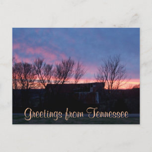 Cartão Postal SAUDAÇÕES DO TENNESSEE foto do pôr do sol no campo