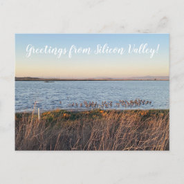 Cartão Postal Saudações do Vale do Silício! Postar