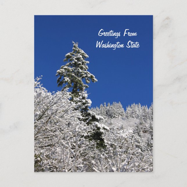 Cartão Postal Saudações Montanhas Captadas Pela Neve De Washingt (Frente)