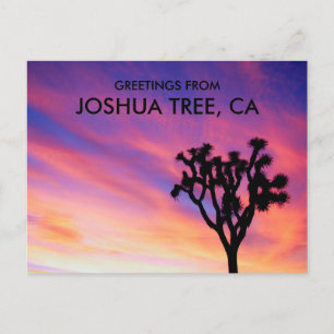 Cartão Postal Saudações Silhueta do Pôr do Sol Rosa Joshua Tree