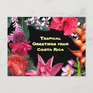 Cartão Postal Saudações Tropicais da Costa Rica