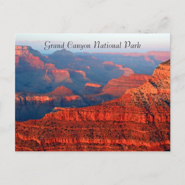 Cartão Postal saudações vermelhas do Grand Canyon (Frente)