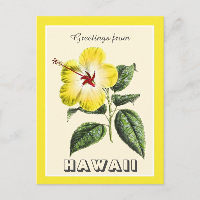 Cartão Postal Saudações Vintage de Hawaii Yellow Hibiscus (Frente)