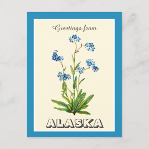 Cartão Postal Saudações Vintage do Alaska Esqueça-me não