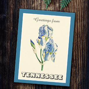 Cartão Postal Saudações Vintage do Tennessee Blue Iris