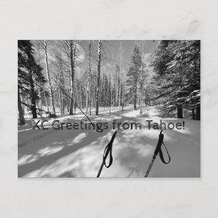 Cartão Postal Saudações XC de Tahoe!