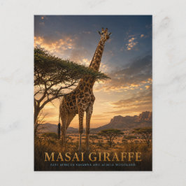 Cartão Postal Savana Animais Girafa Masai
