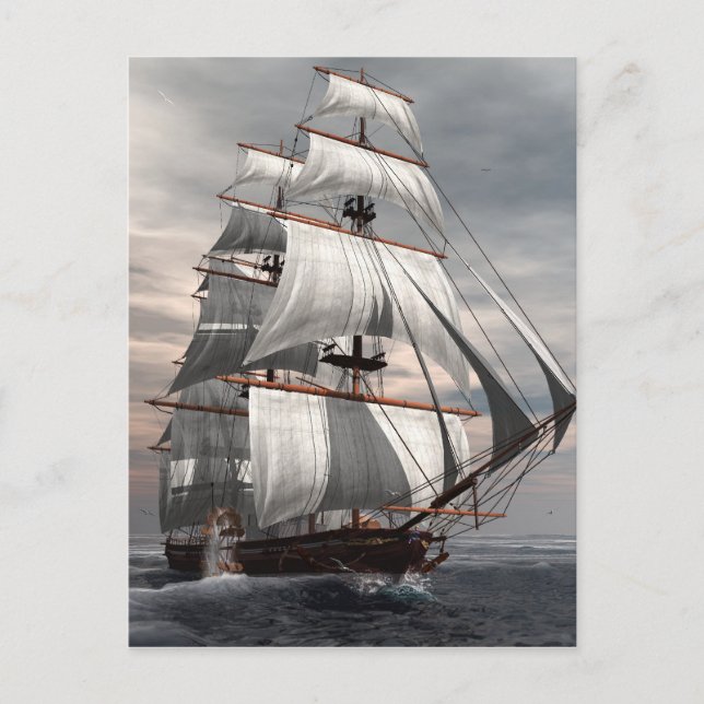 Cartão Postal Savana dos SS (Frente)