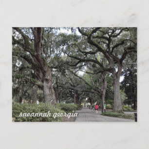 Cartão Postal savannah georgia no cartão-postal do parque