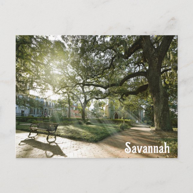 Cartão Postal Savannah Georgia Southern Live Oak Tree (Frente)