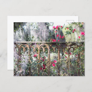 Cartão Postal Savannah Posta Card Laurel Grove