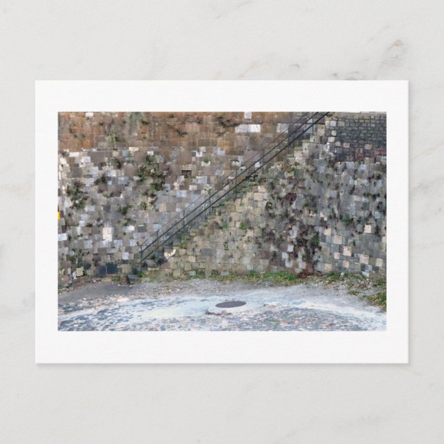 Cartão Postal Savannah Wall (Frente)