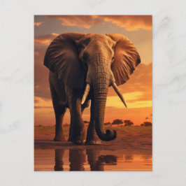 Cartão Postal Savannahs Majestade