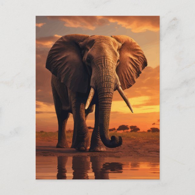 Cartão Postal Savannahs Majestade (Frente)