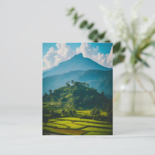 Cartão Postal Sawah di Kaki Gunung