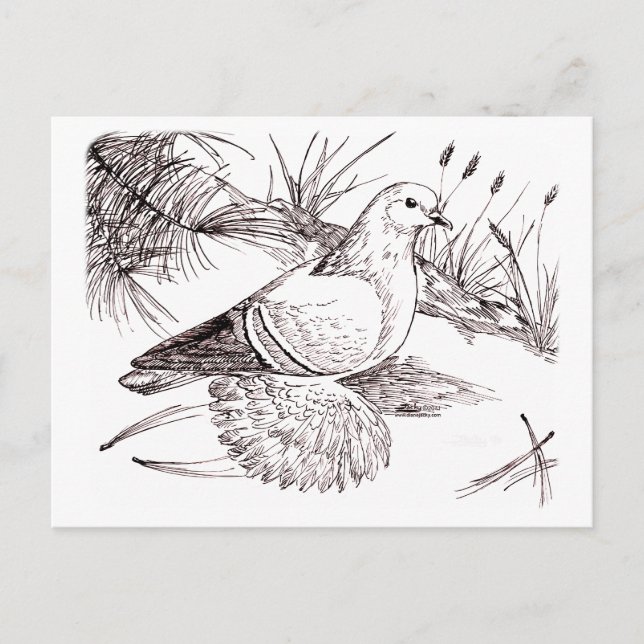 Cartão Postal Saxon Field Pigeon (Frente)