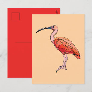Cartão Postal Scarlet Ibis Bird