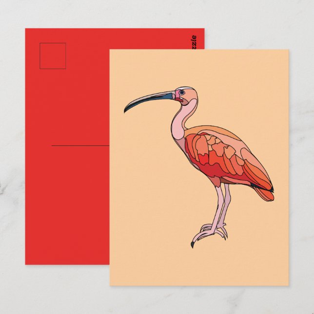 Cartão Postal Scarlet Ibis Bird (Frente/Verso)