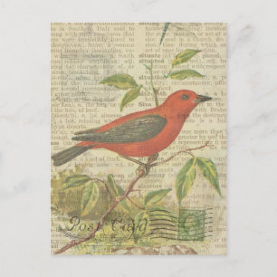 Cartão Postal Scarlet Tanager Vintage Bird Birdcage Dragonfly