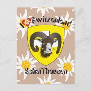 Cartão Postal Schaffhausen Schweiz Postkarte