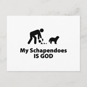 Cartão Postal Schapendos