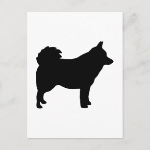 Cartão Postal Schipperke