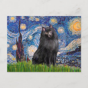 Cartão Postal Schipperke 2 - Noite Estrelada